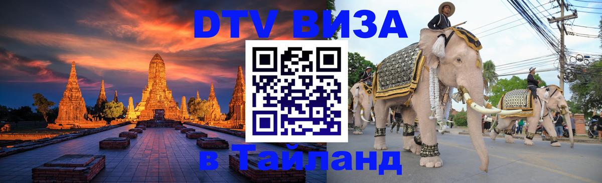 Оформление DTV визы под ключ: стоимость и тарифы, только загранпаспорт - 